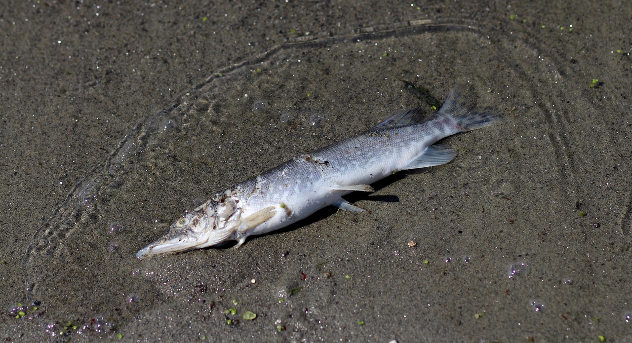 How do I know how much to make?