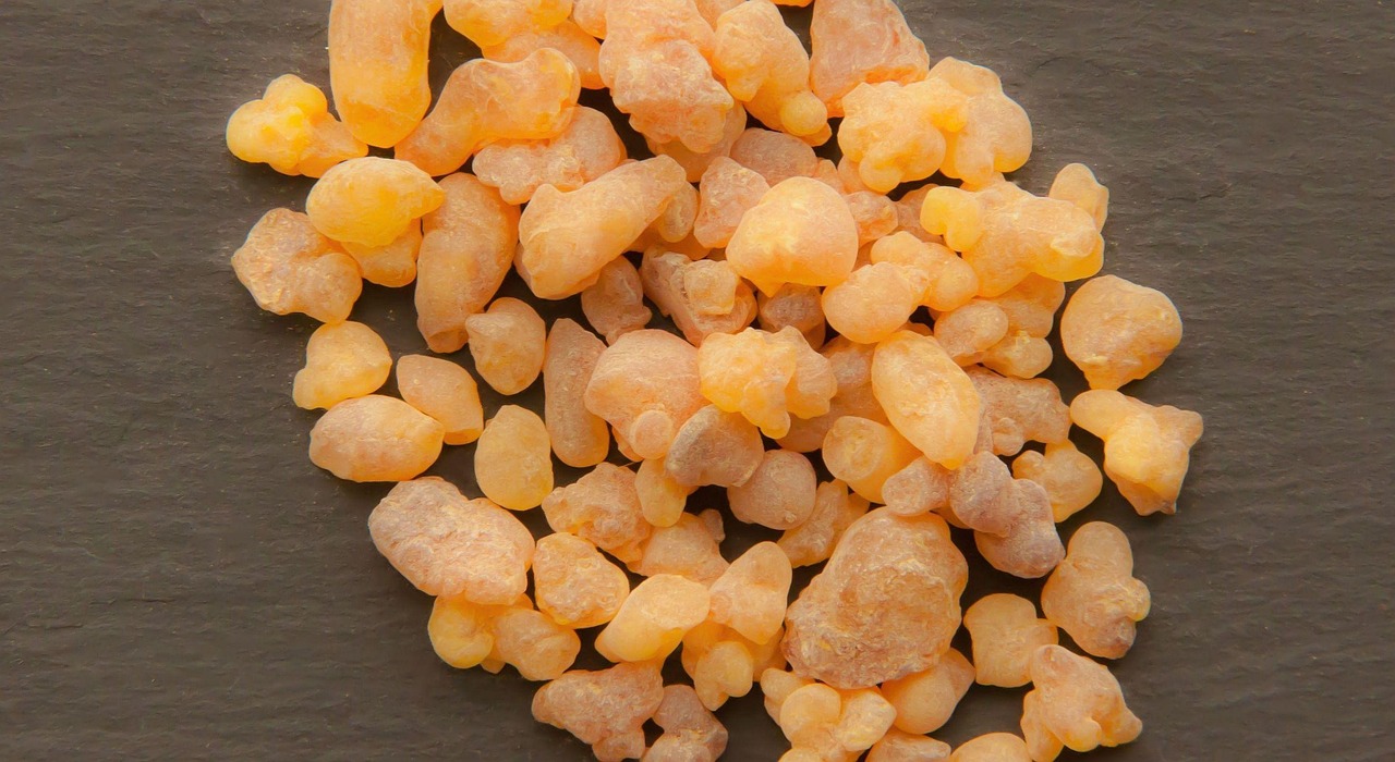 3. Boswellia serrata (Indian Frankincense)