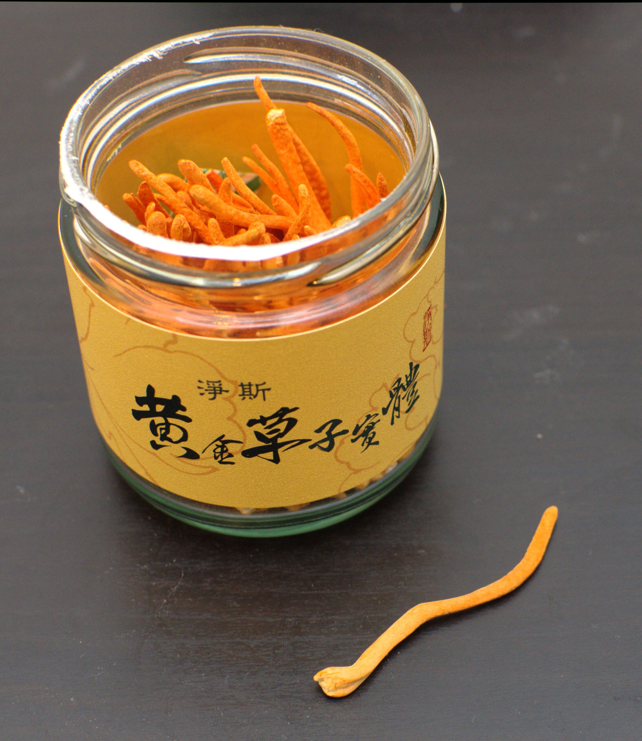 Cordyceps (File:Cordyceps militaris jar.jpg)